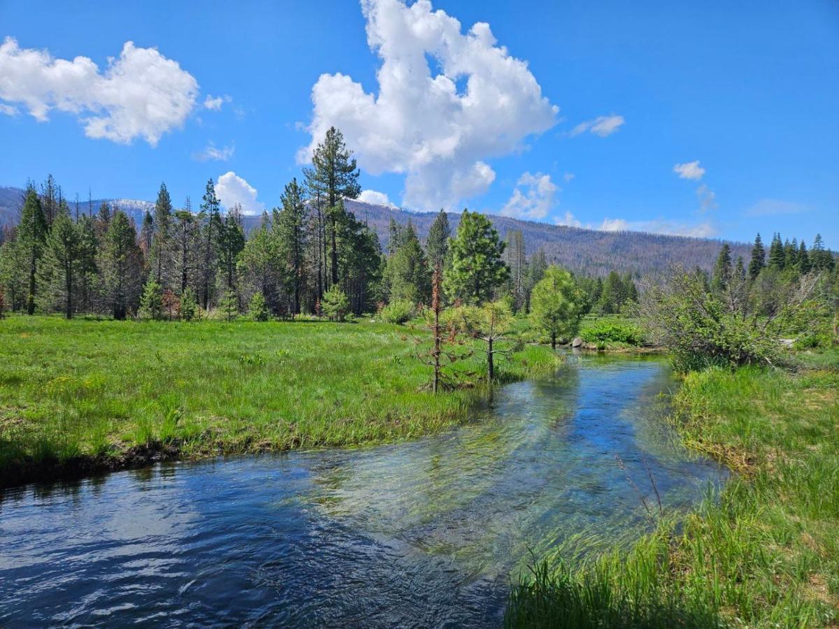The Black Forest Lodge Red Bluff Exteriér fotografie