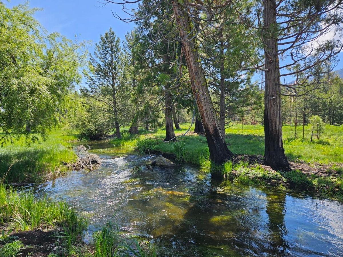 The Black Forest Lodge Red Bluff Exteriér fotografie